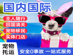 常州机场托运国际宠物托运 【国